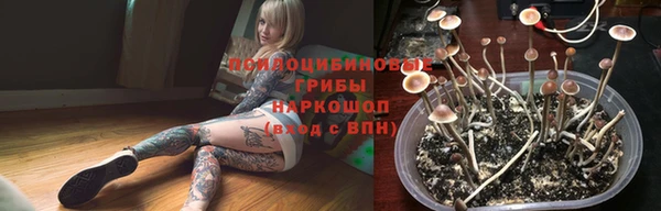 mix Гусиноозёрск