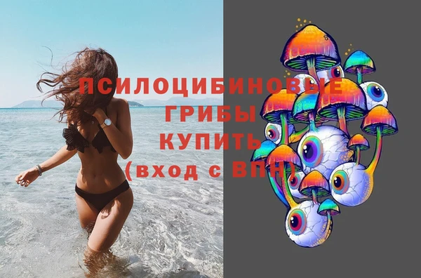 кристаллы Гусь-Хрустальный