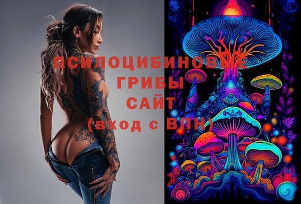 кристаллы Гусь-Хрустальный
