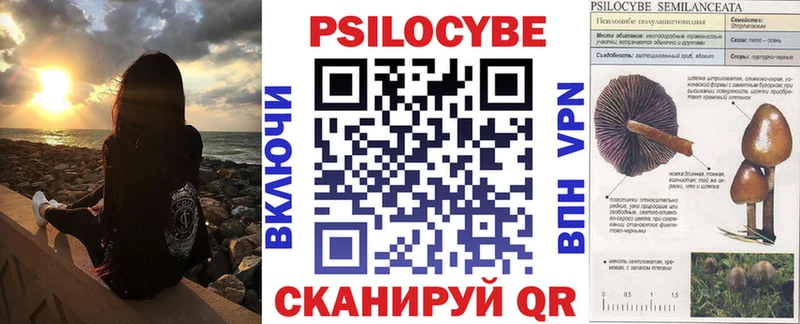 Купить закладки  Борисоглебск  Галлюциногенные грибы прущие грибы 
